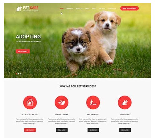 WordPress themes: Themes & templates