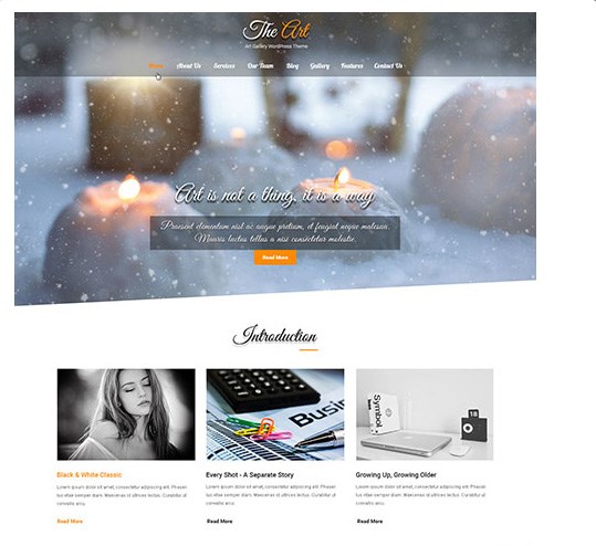 WordPress themes: Themes & templates